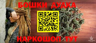 МДПВ Гатчина