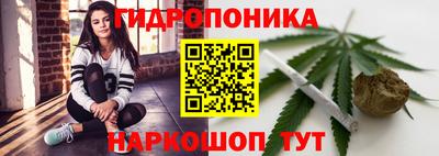 a pvp Гагарин