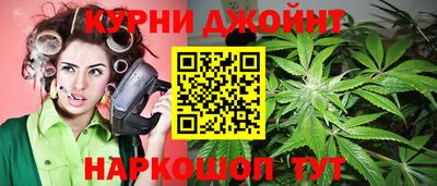 МДПВ Гатчина