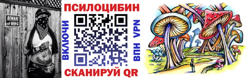 Псилоцибиновые грибы Cubensis  Оренбург 